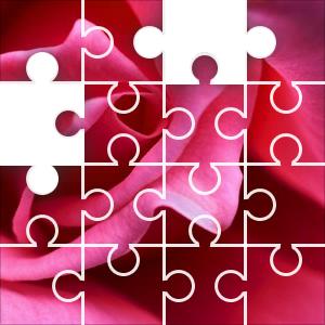terry rose puzzle