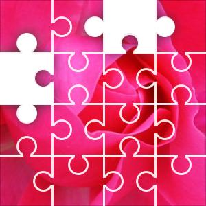 rose puzzle ztd healing room