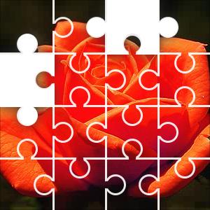 rose puzzle