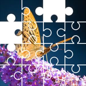 Butterfly P Puzzle JigZone.com