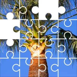 Palm Tree Puzzle JigZone.com